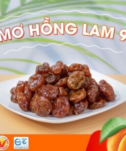 Ô Mai Mơ Hồng Lam 9 Hà Nội