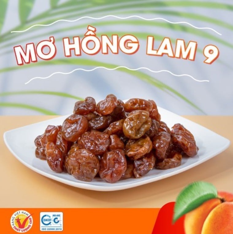 Ô Mai Mơ Hồng Lam 9 Hà Nội 11 Screenshot 8 2