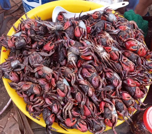 Ba Khía Muối - Món Ngon Dân Dã Của Miền Tây Sông Nước