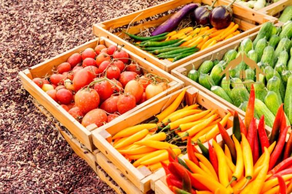 Nâng Tầm Thương Hiệu Nông Sản Việt Nam: Hành Trình Phát Triển và Hoàn Thiện Chính Sách 2 nong san