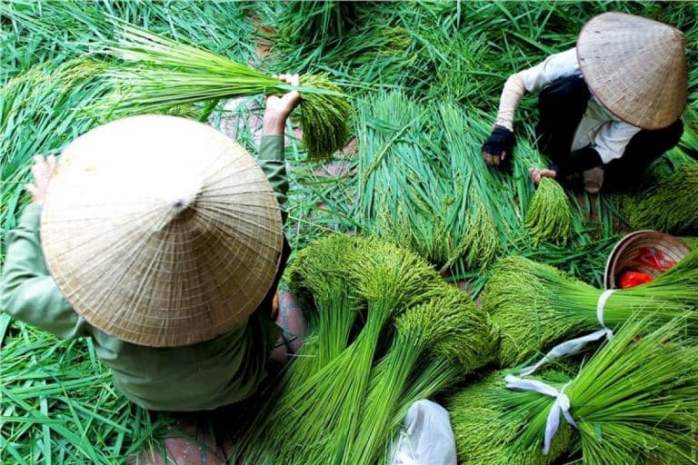 quy trinh san xuat com1 768x512 1