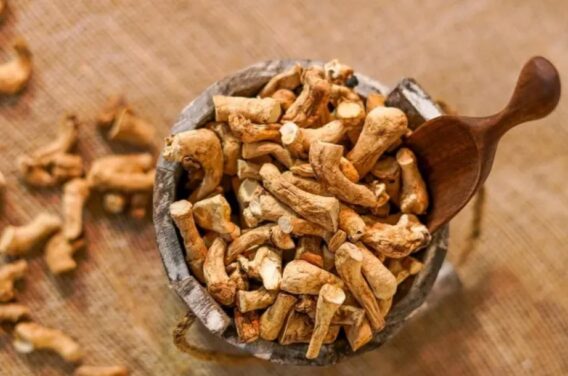 Tác Dụng Kỳ Diệu Của Chân Nấm Hương Khô