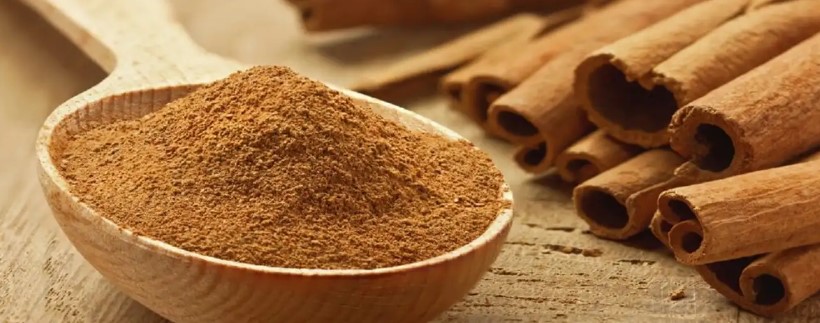 Đặc Sản Quảng Ngãi: Những Món Ăn Ngon Nhất Để Thưởng Thức Khi Đến Xứ Quảng 9 Đặc Sản Quảng Ngãi: Những Món Ăn Ngon Nhất Để Thưởng Thức Khi Đến Xứ Quảng