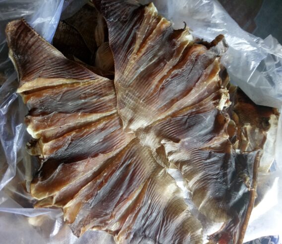 Khô Cá Đuối Đen 11 kho ca duoi vung tau