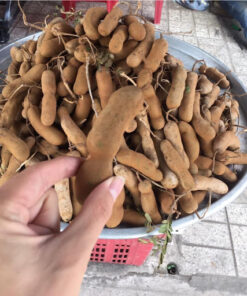 Me Dốt Bột Thái Lan - Hương Vị Đậm Đà Khó Quên