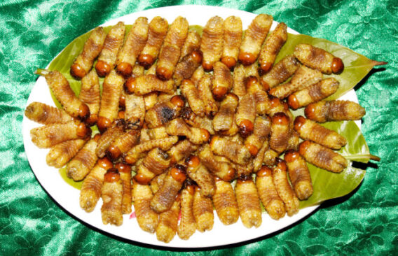 Đặc Sản Miền Tây Khám Phá Những Món Ngon Hương Vị Khó Quên 8 Duong Dua