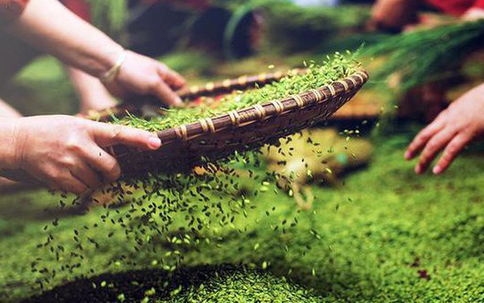 Mua Gì Làm Quà Ở Hà Nội? Những Đặc Sản Không Thể Bỏ Qua 13 Cốm Làng Vòng năm nay tiếp tục giữ chân người tiêu dùng Việt