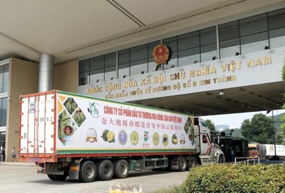 Giá Nho Trung Quốc Ở Chợ Đầu Mối – Tại Sao Nho Nhập Chỉ 18.000 Đồng/Kg Nhưng Bán Giá Cao Hơn Trăm Nghìn? 5 8111 1724032539 1200x0