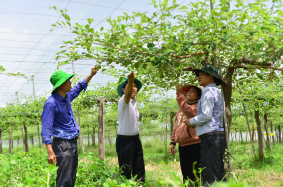 Lưu Ý Cây Trồng Khi Bước Vào Mùa Hanh Khô Lạnh: Cách Chăm Sóc Và Bảo Vệ Cây Hiệu Quả 6 KH1 11