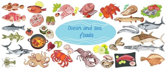 Kiến Thức Về Các Loại Hải Sản - Mọi Điều Cần Biết Cho Người Mới Muốn Tìm Hiểu Và Mua Bán 10 colorful drawing marine food collection 1284 40867