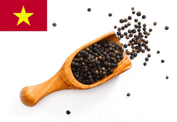tieu vietnam