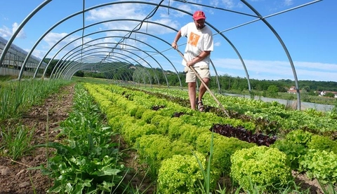 Hiểu Rõ Về Canh Tác Truyền Thống Trên Đất Và Các Loại Canh Tác Hiện Đại Khác 6 2203organic