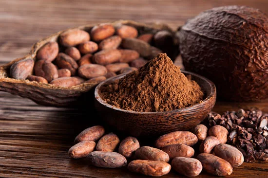 Biến Động Giá Nông Sản và Thách Thức Xuất Khẩu Nông Sản Việt Nam Trong Năm 2025 2 bot cacao