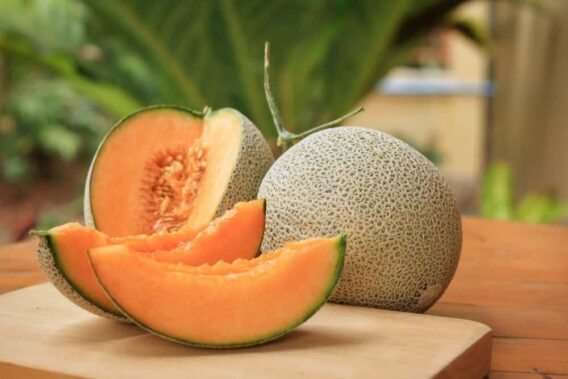 5 Loại Trái Cây Tốt Cho Máu và Giảm Mỡ Bụng Bạn Nên Thêm Vào Thực Đơn Ngay Hôm Nay 4 cantaloupe 93af58bb142b48b18a3a8930b27c11c7 1024x1024