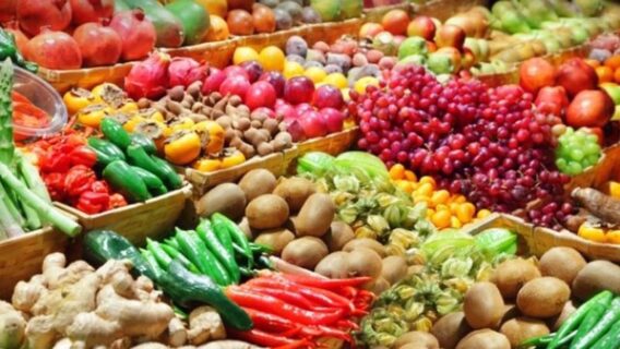 Nông Sản Việt Tiềm Năng Tăng Trưởng Và Cơ Hội Phát Triển Thị Trường Quốc Tế 3 1103744 1532487074002698810057 0 0 562 1000 crop 15342063700162136202995