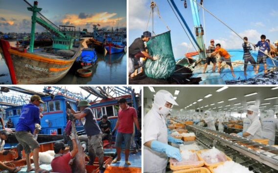 Ngành Thủy Sản Nước Ta Hiện Nay Tiềm Năng Phát Triển và Các Thách Thức 2 the vang thuy san 1 1533527527042806717808