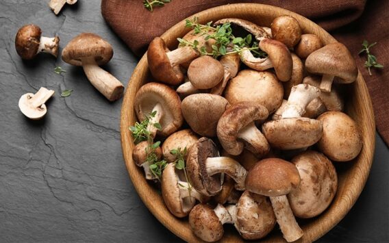 Top 10 món ngon từ nấm dễ làm tại nhà bổ dưỡng, thanh mát, ăn là mê 3 Nấm tươi các loại được bày biện hấp dẫn, chuẩn bị cho bữa ăn giàu dinh dưỡng tại nhà.