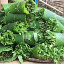 Rau Rừng Biến Rau Rừng Thành Trà Đặc Sản Tạo Sinh Kế Bền VữngRau Rừng Biến Rau Rừng Thành Trà Đặc Sản Tạo Sinh Kế Bền Vững