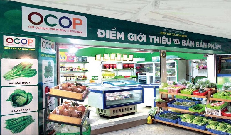 Chương trình OCOP – Động lực phát triển kinh tế nông thôn Việt Nam 4 Tiêu chí điểm giới thiệu và bán sản phẩm OCOP