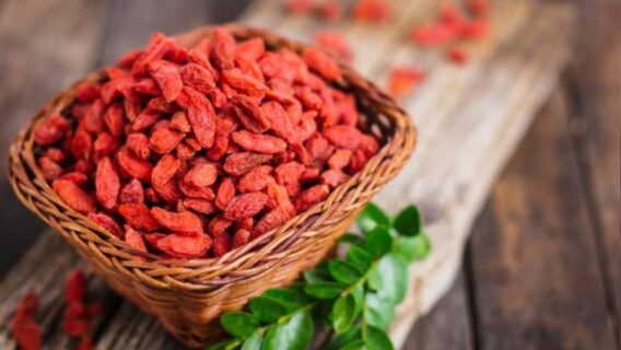 Tác dụng của kỷ tử Lợi ích sức khỏe tuyệt vời từ siêu thực phẩm này