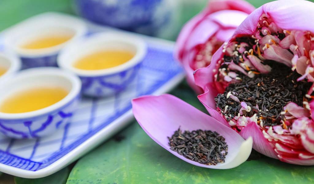Khám Phá Thức Quà Hà Nội Đặc Sản Làm Quà Ý Nghĩa Của Thủ Đô 16 Trà sen Tây Hồ - Xứng danh nữ hoàng trà Việt? – Trà Chính Sơn