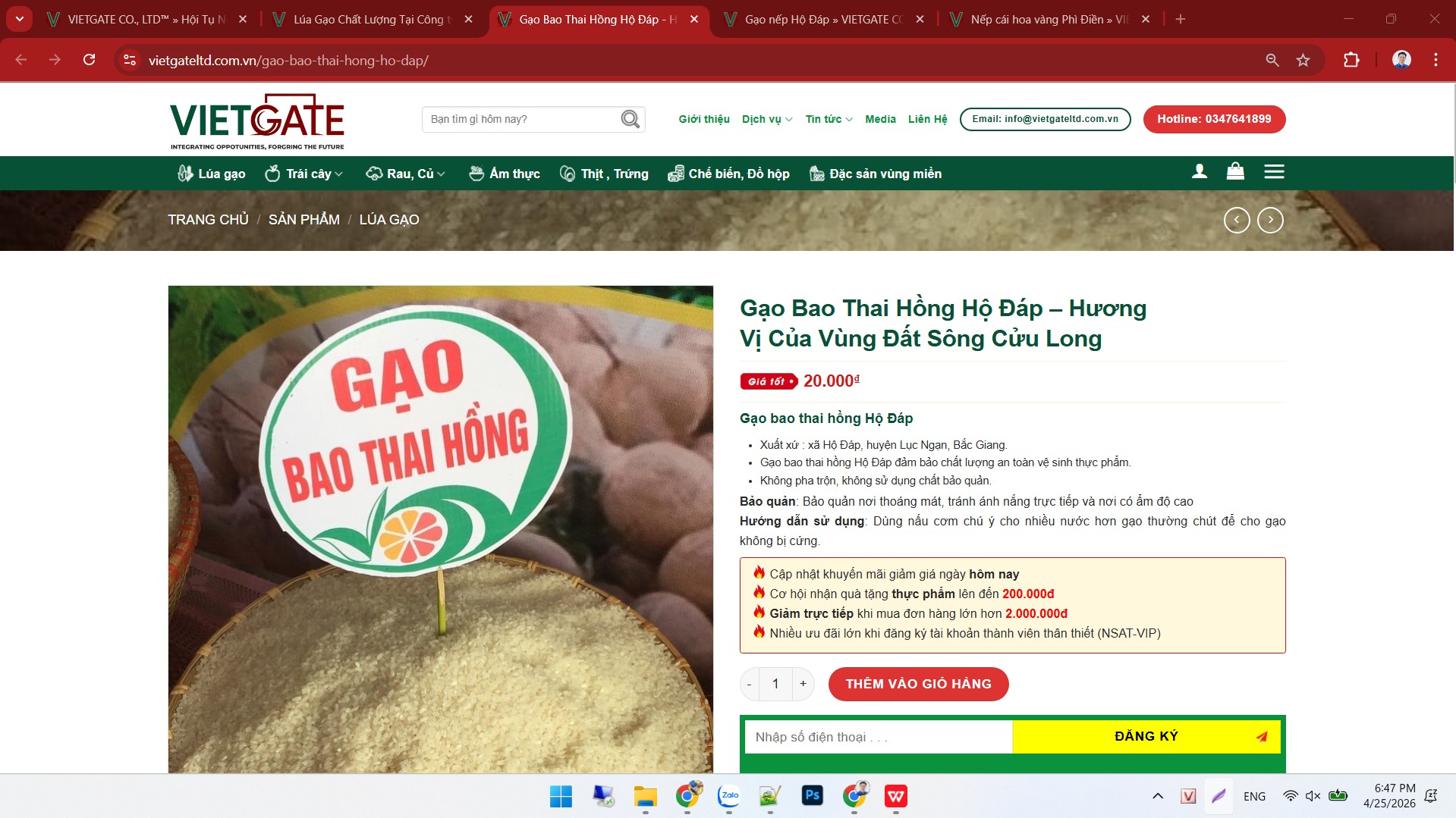 hoang hoa 2